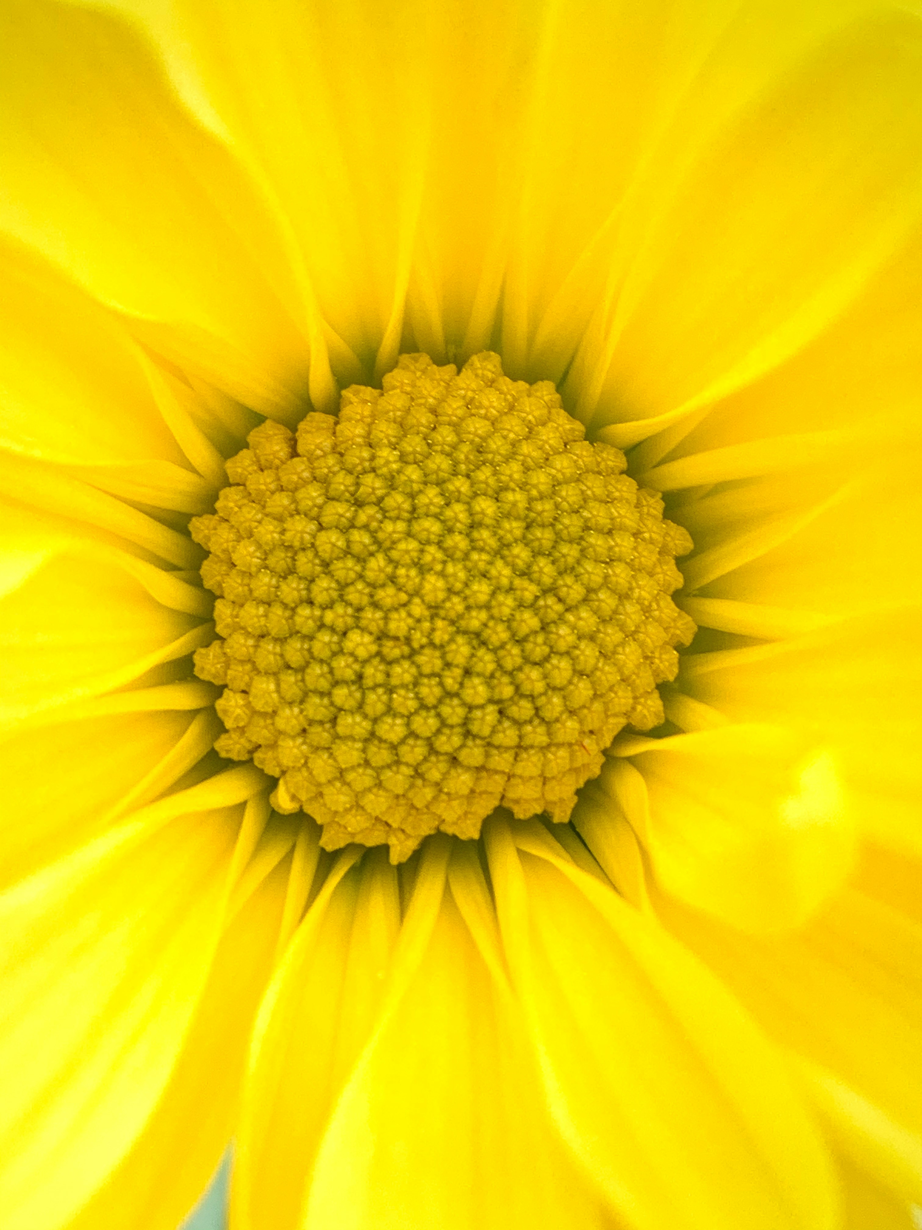 Photo by rendermouse