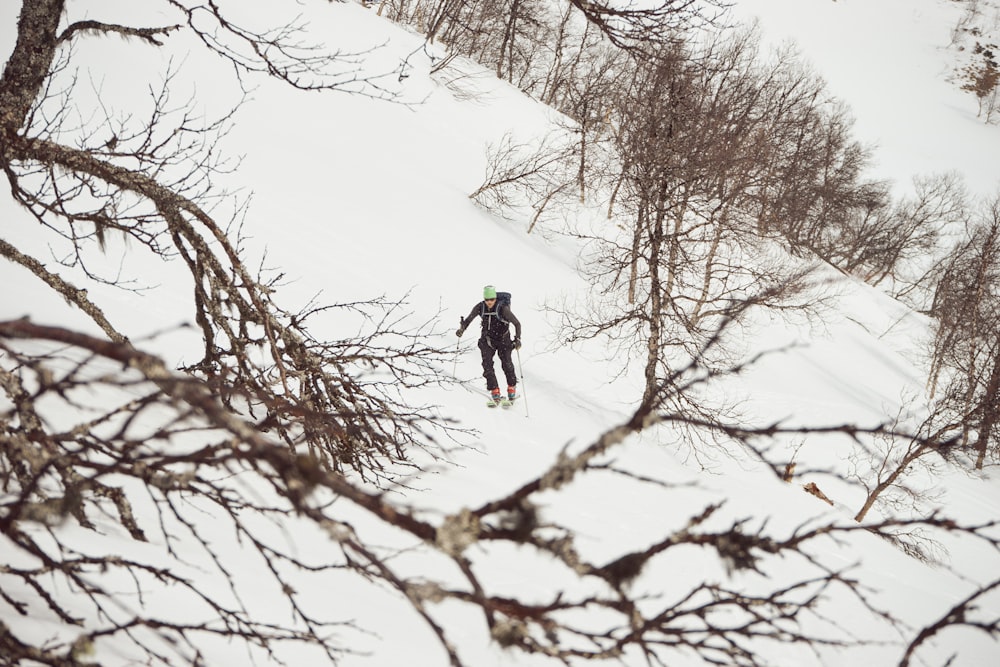 person in black jacket and pants standing on brown tree branch during daytime