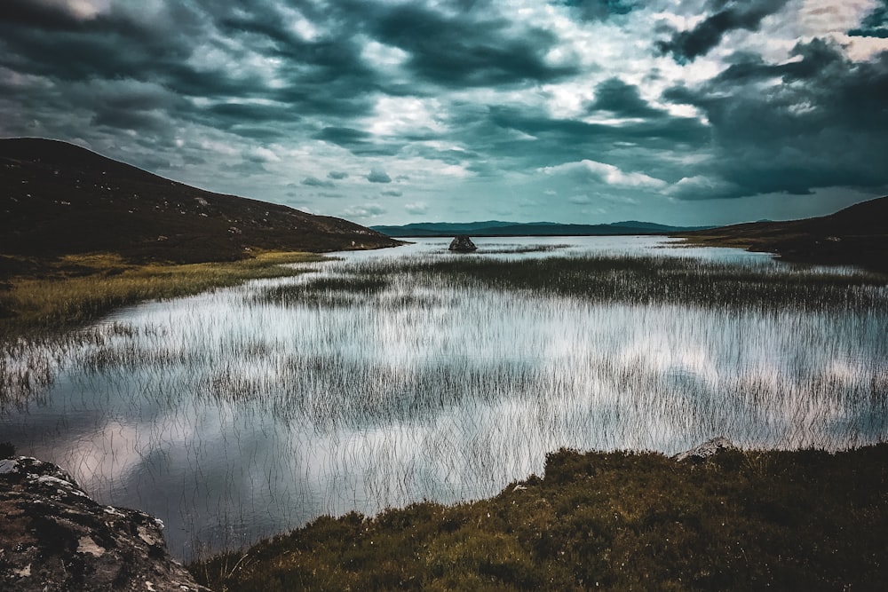 green grass field near body of water under cloudy sky during daytime