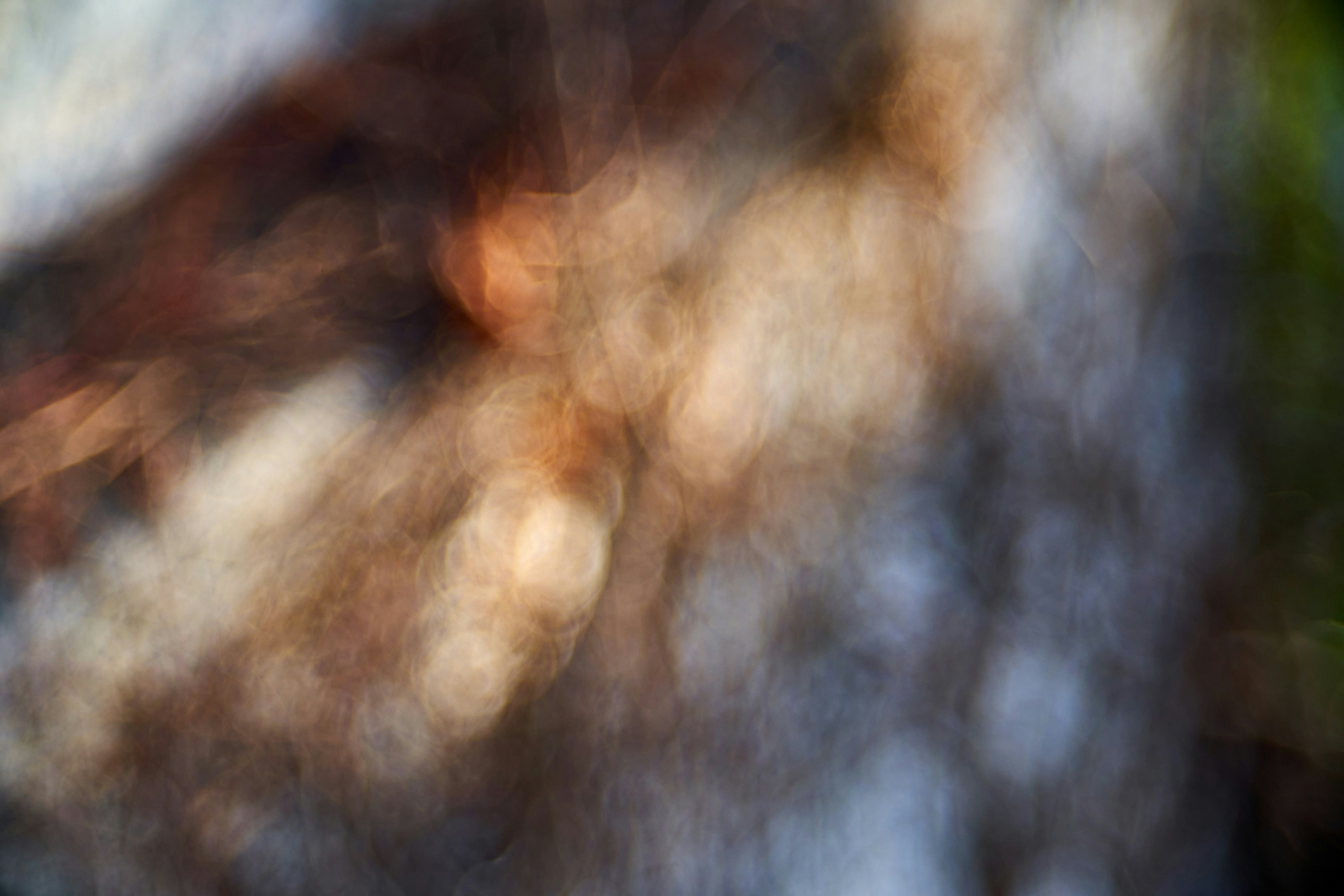 Photo by wolfgang_hasselmann