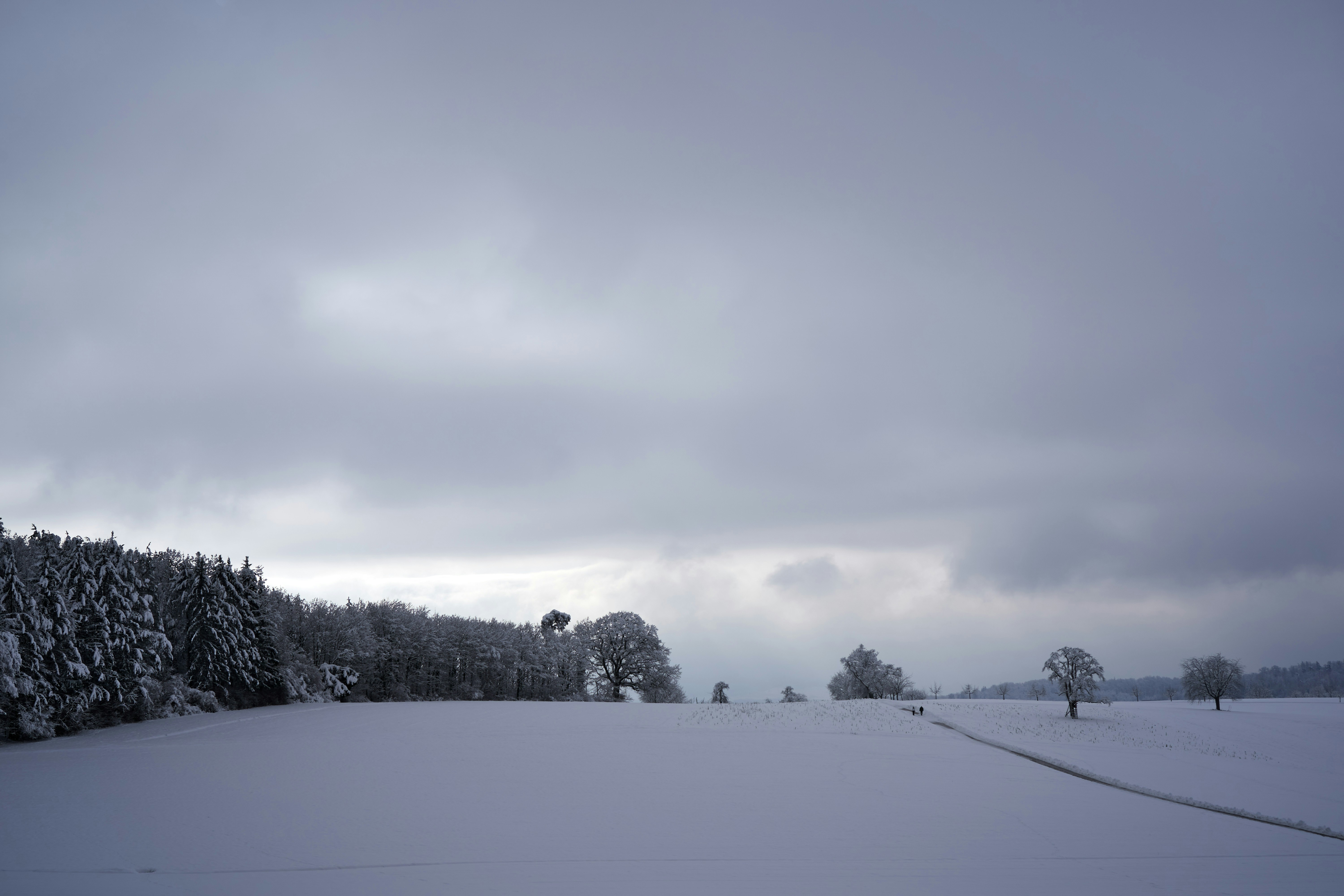 Photo by wolfgang_hasselmann