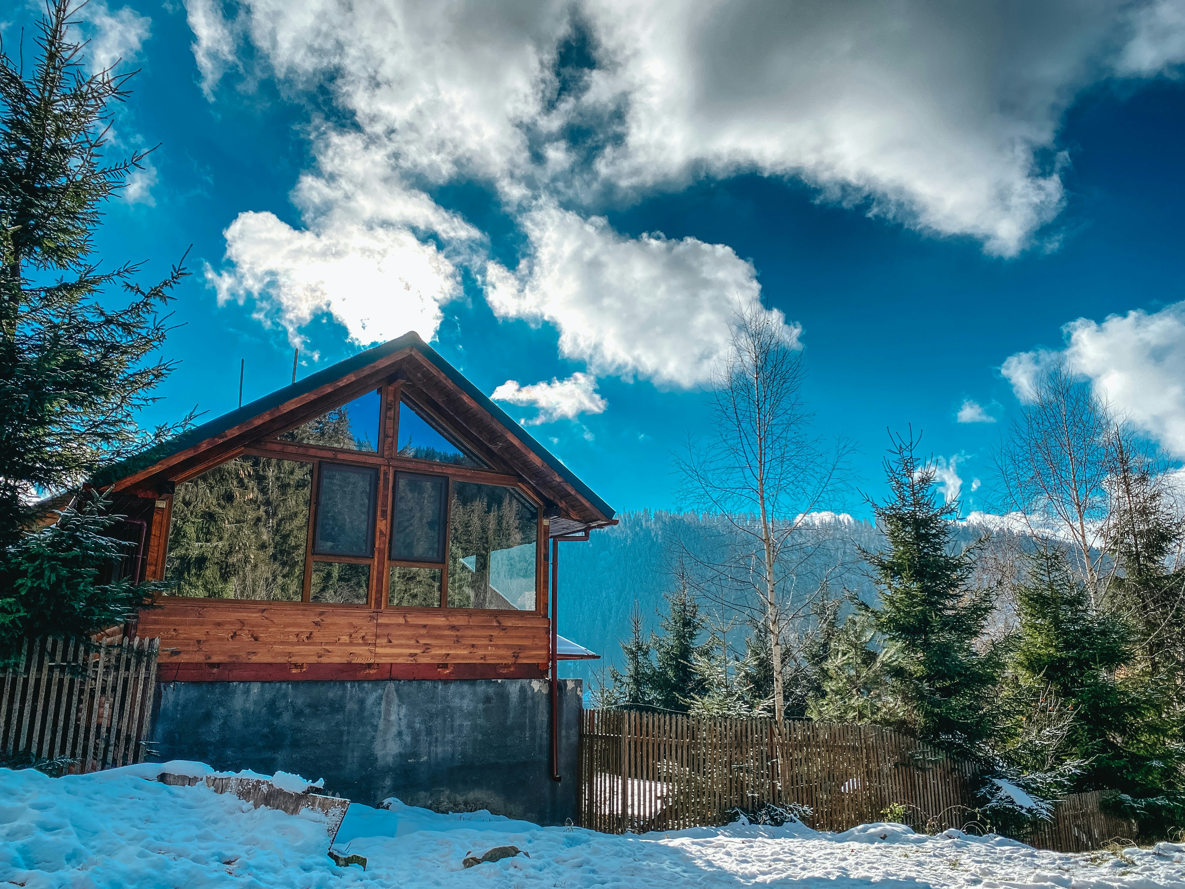 Photo by andreeaviorela