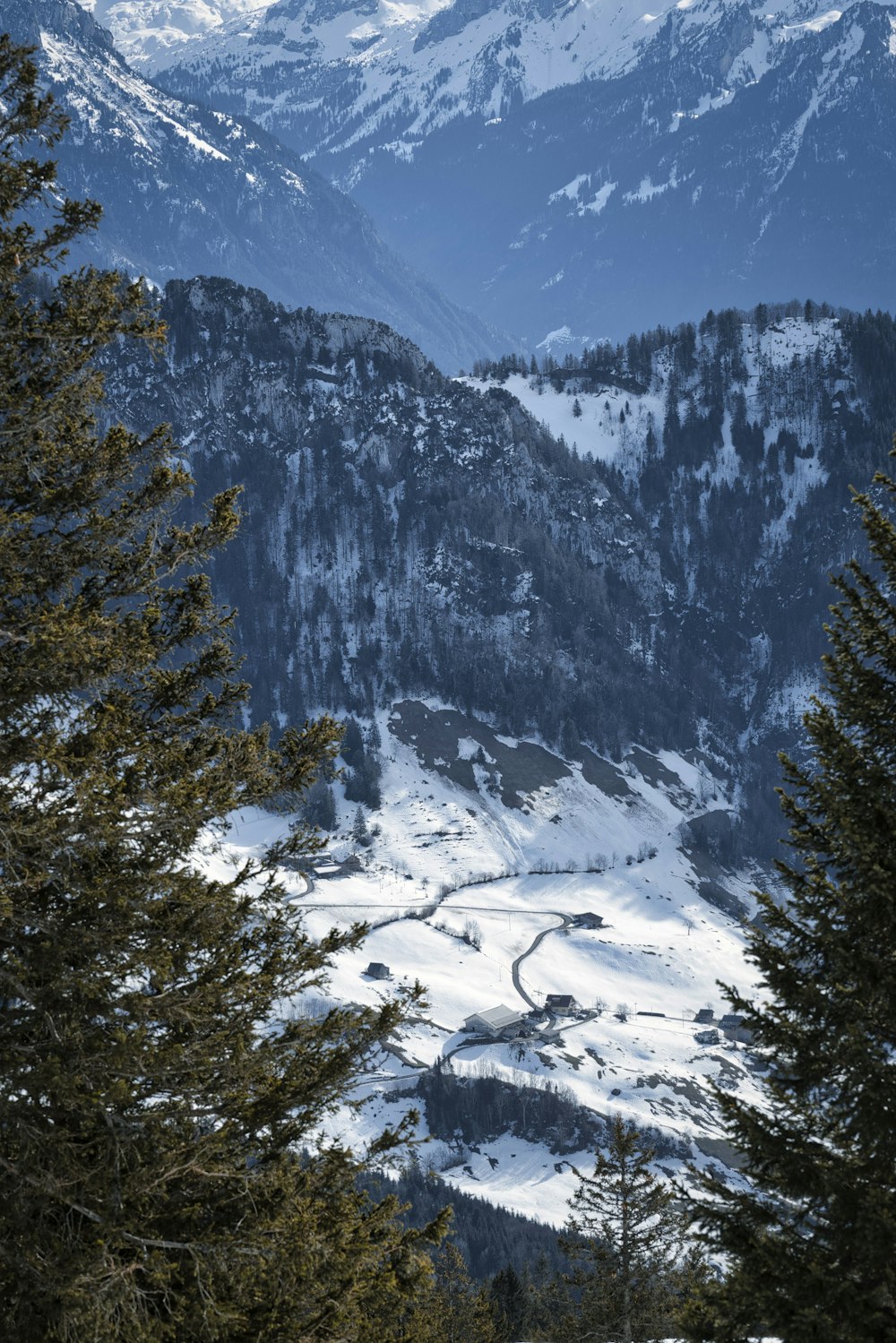green pine trees on snow covered mountain during daytime