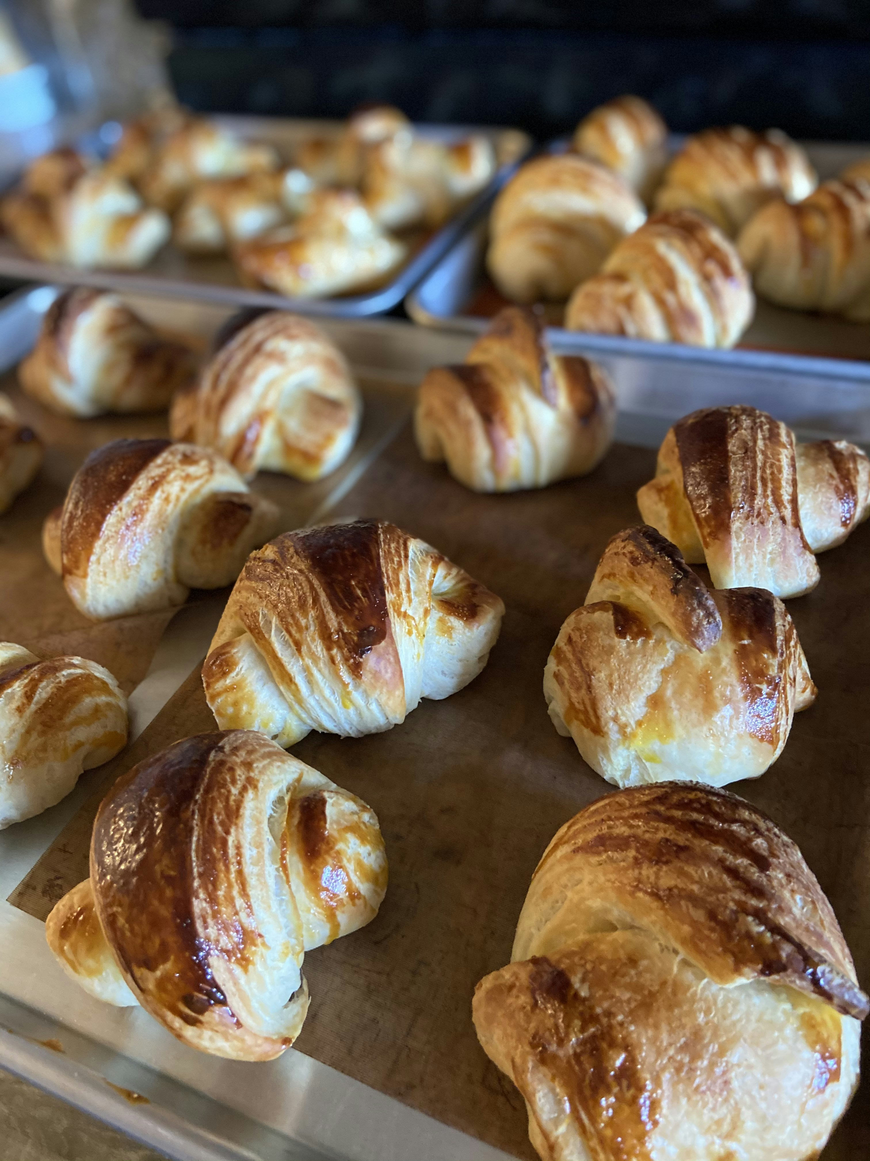 Freshly Baked Croissants