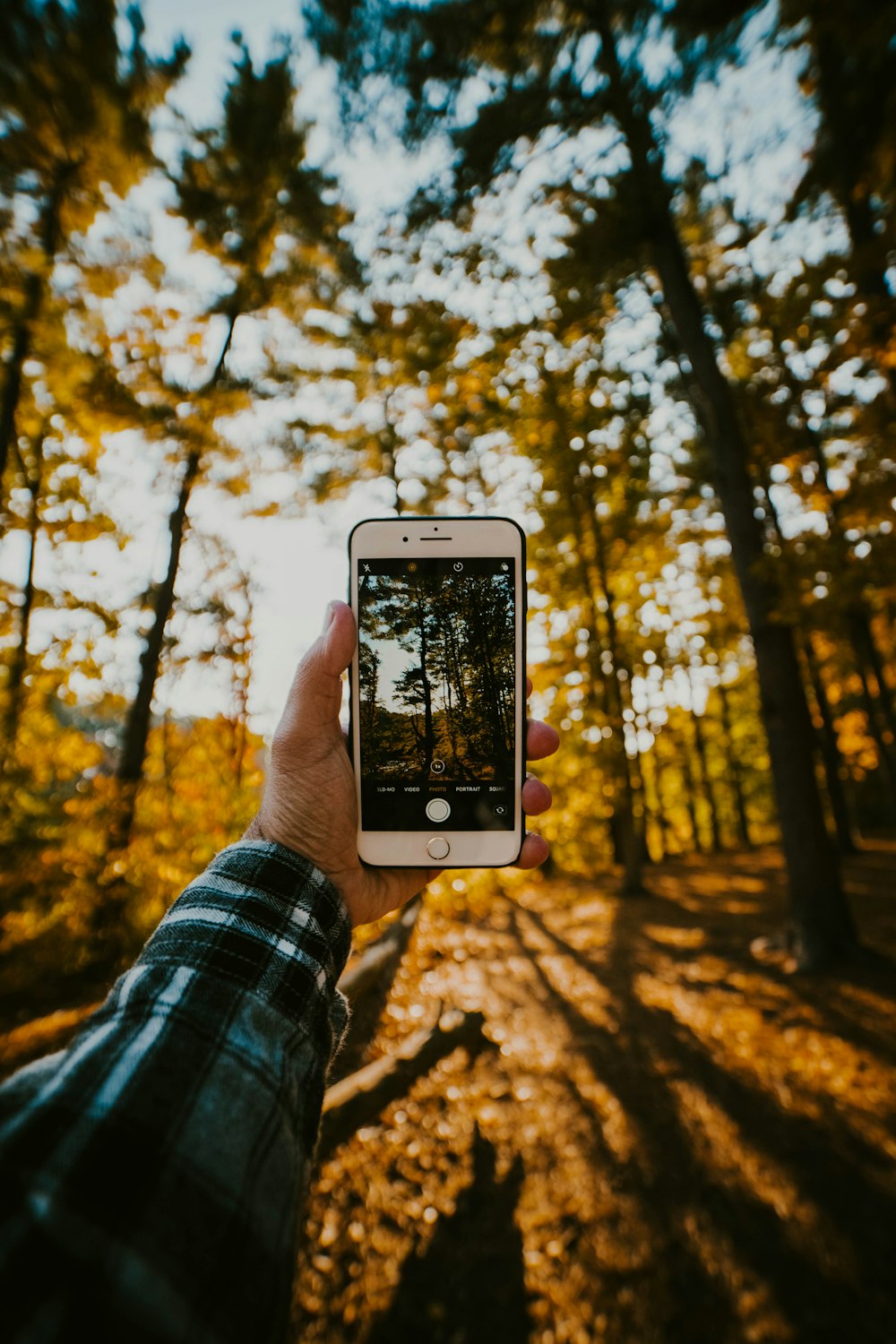 person holding silver iphone 6