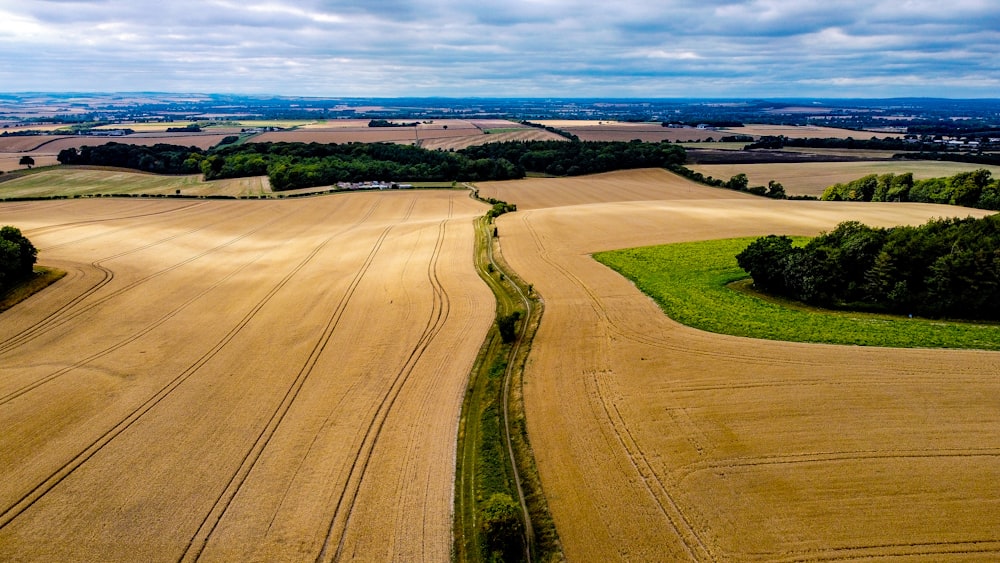 Campo de hierba verde bajo el cielo azul durante el día