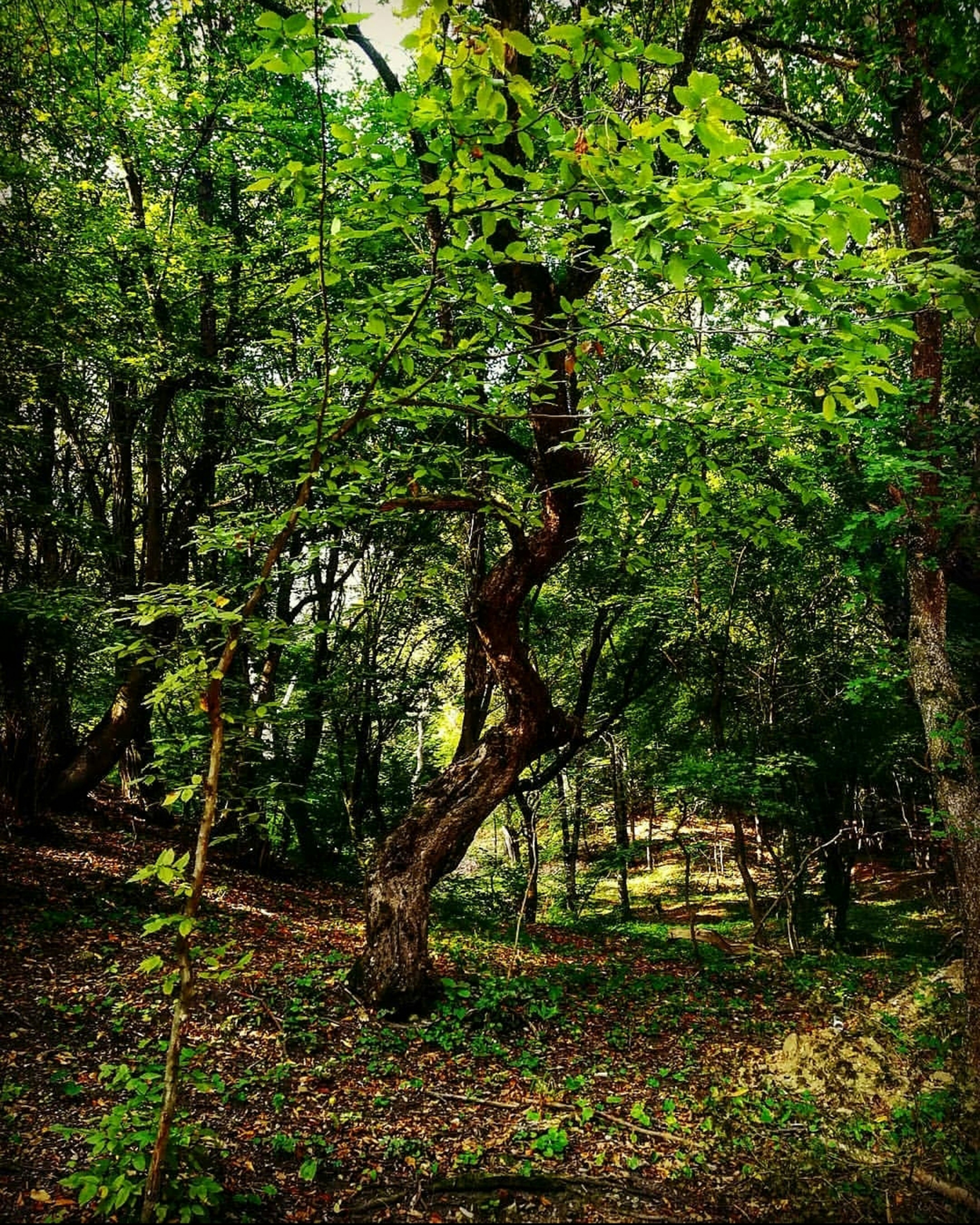 Photo by ruxandrateodroa