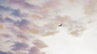 An airplane soaring above clouds tinted with soft purple and orange light.