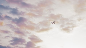 A sleek airplane flying above clouds during golden hour, symbolizing high-reaching connections.