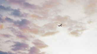 An airplane soaring above clouds tinted with soft purple and orange light.