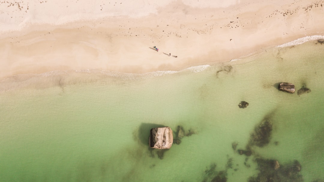 aerial view of body of water during daytime