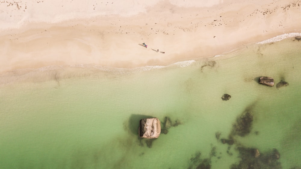 aerial view of body of water during daytime