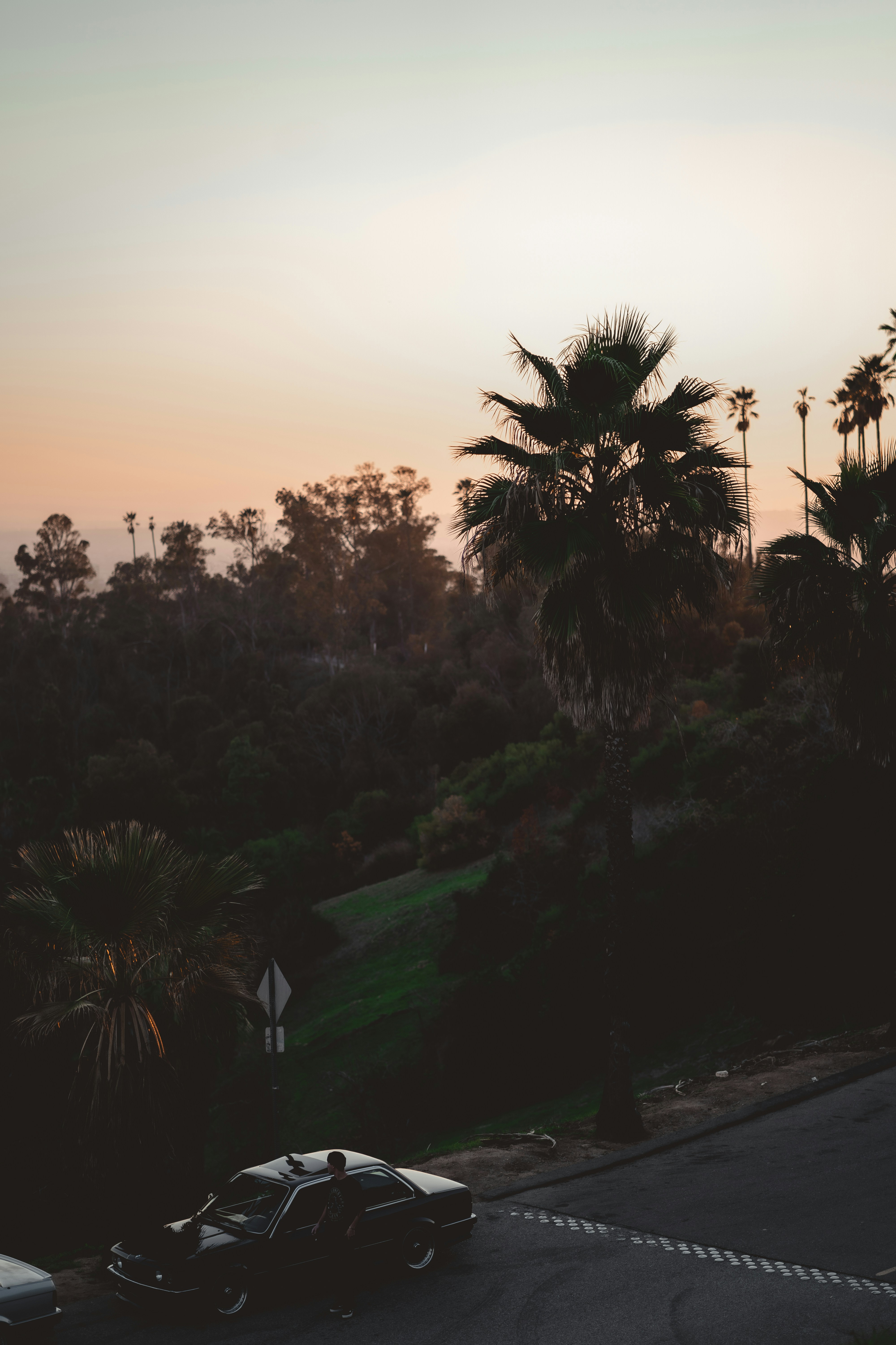 Photo by bryanpapazov