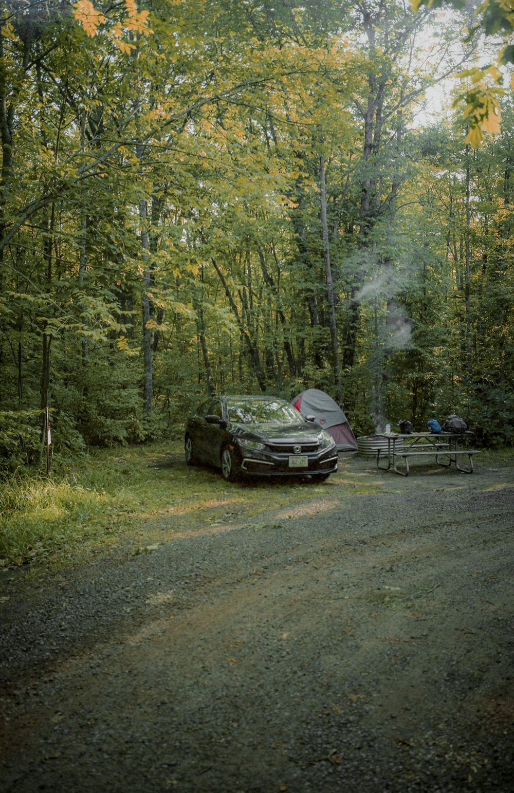 black car on road in between trees during daytime