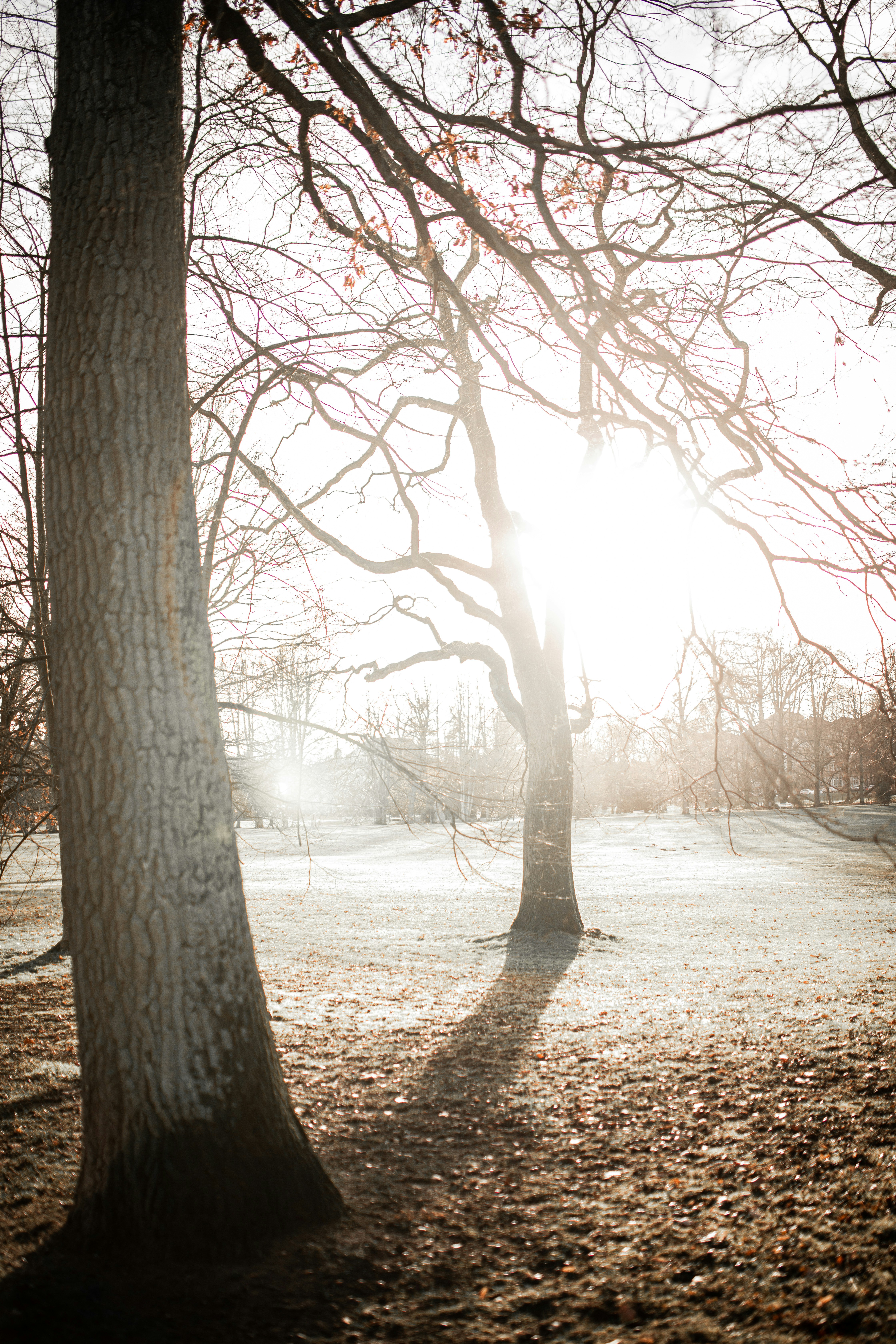 Photo by kajareichardtphotos