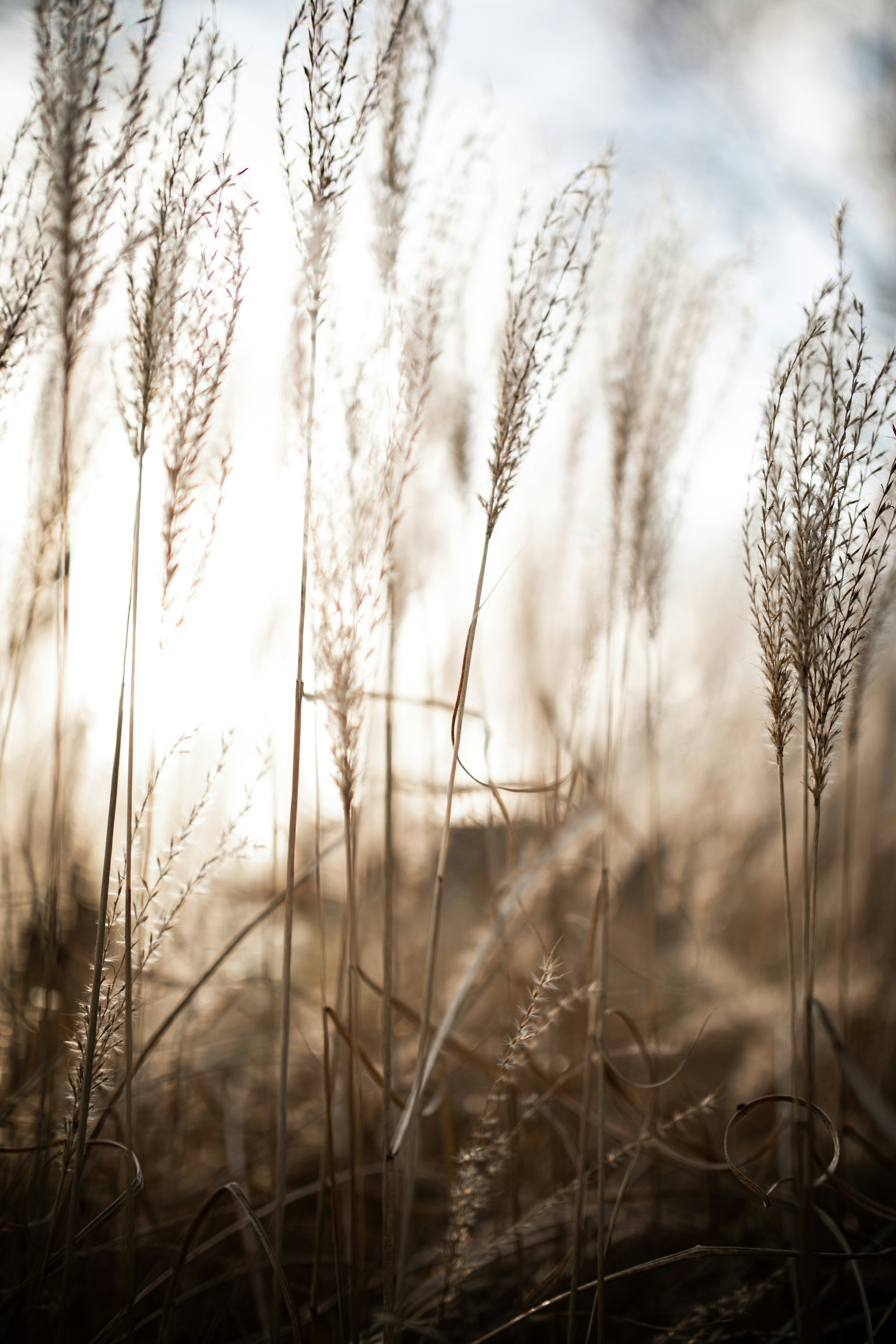 Photo by kajareichardtphotos