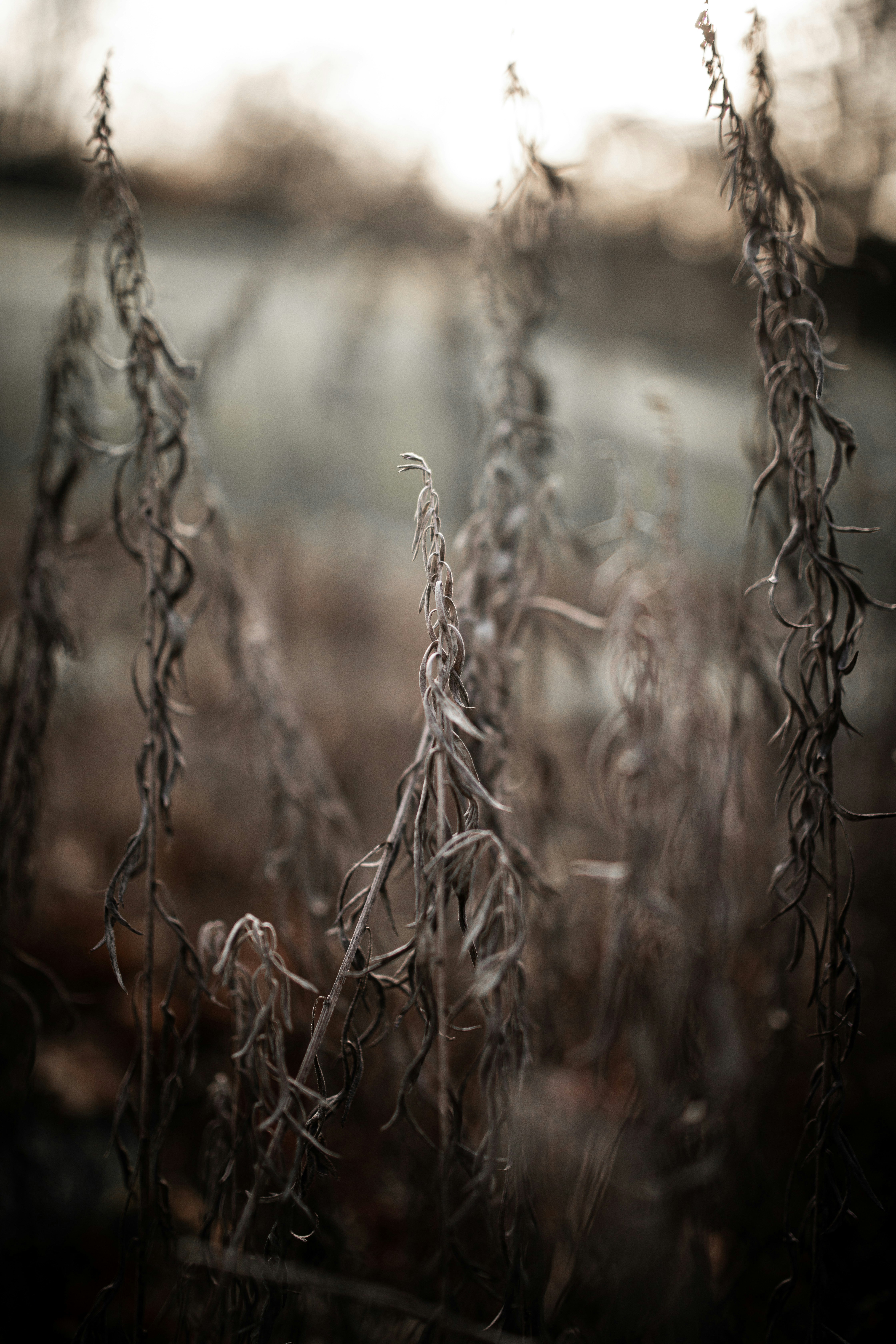 Photo by kajareichardtphotos