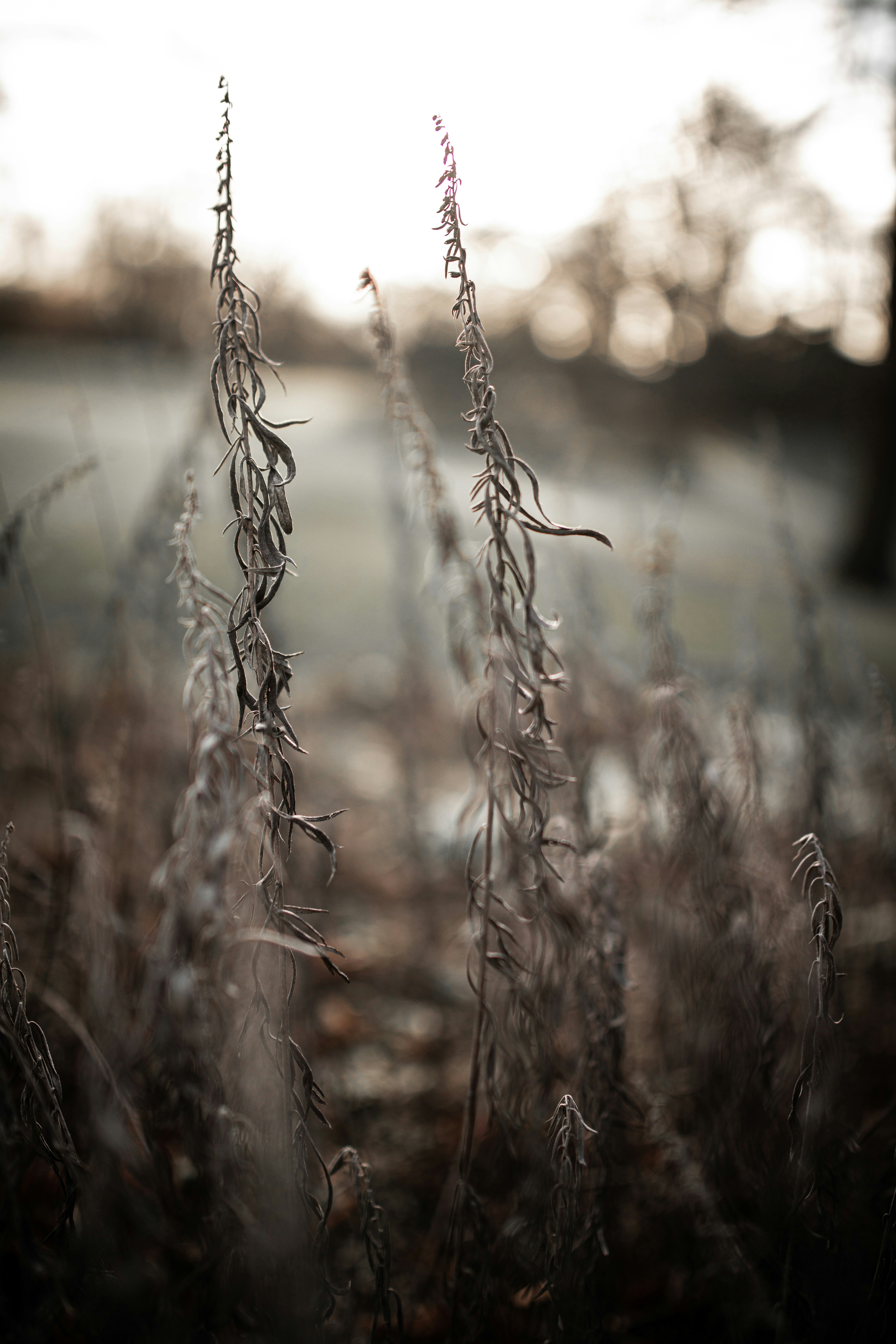 Photo by kajareichardtphotos