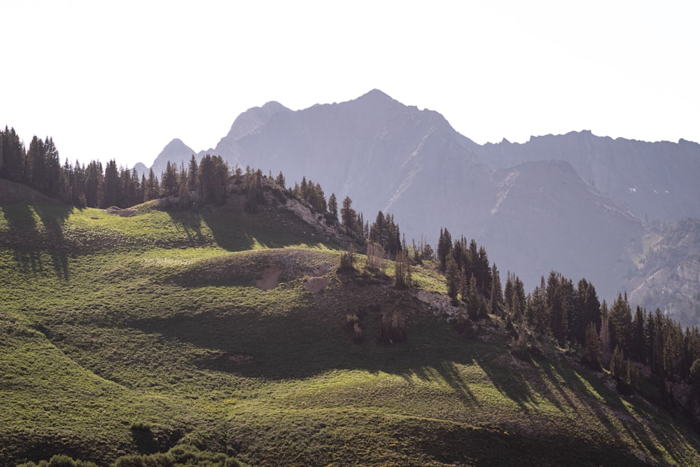 green grass field and trees near mountain during daytime