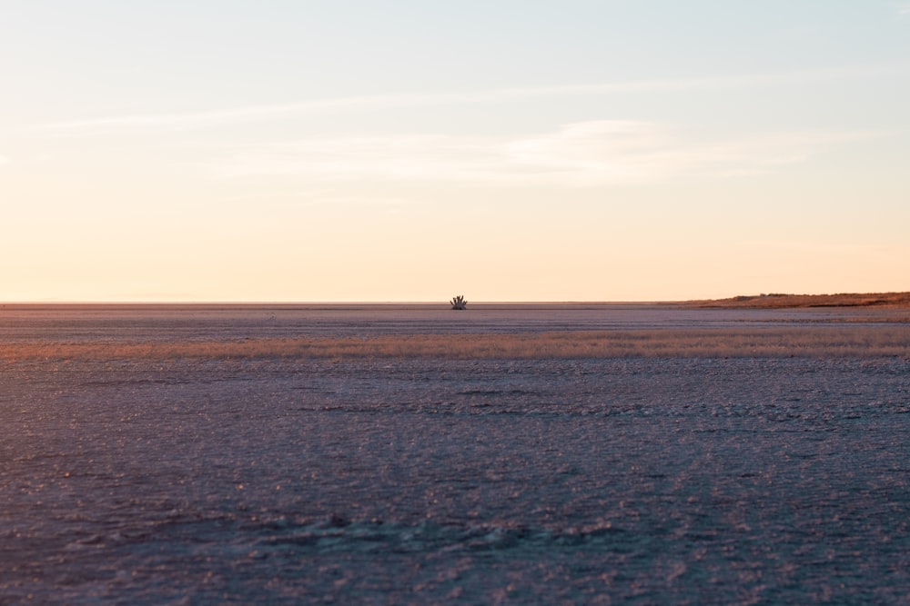 Persona in camicia nera in piedi su sabbia marrone vicino allo specchio d'acqua durante il giorno