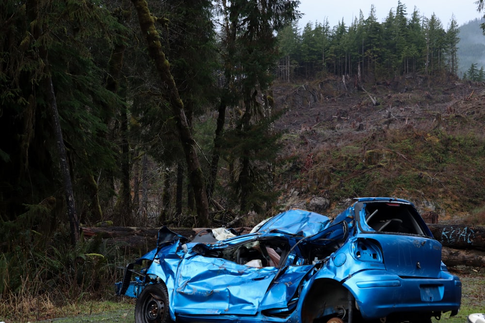 blue car parked on green grass field