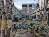 A serene courtyard garden nestled between two office buildings.