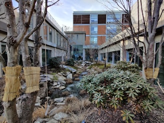 A tranquil garden next to contemporary townhouses.