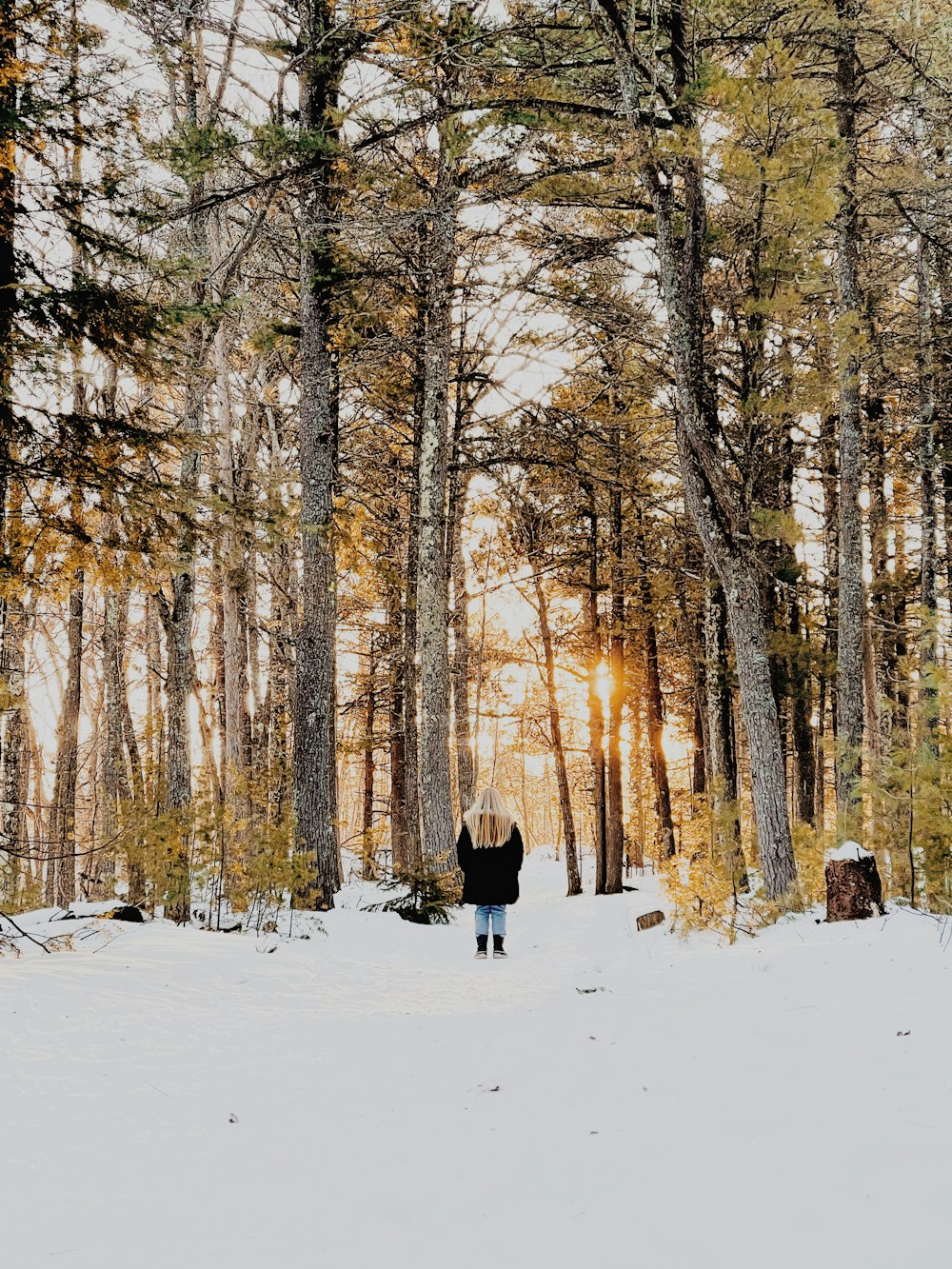 person in black jacket walking on snow covered ground surrounded by trees during daytime