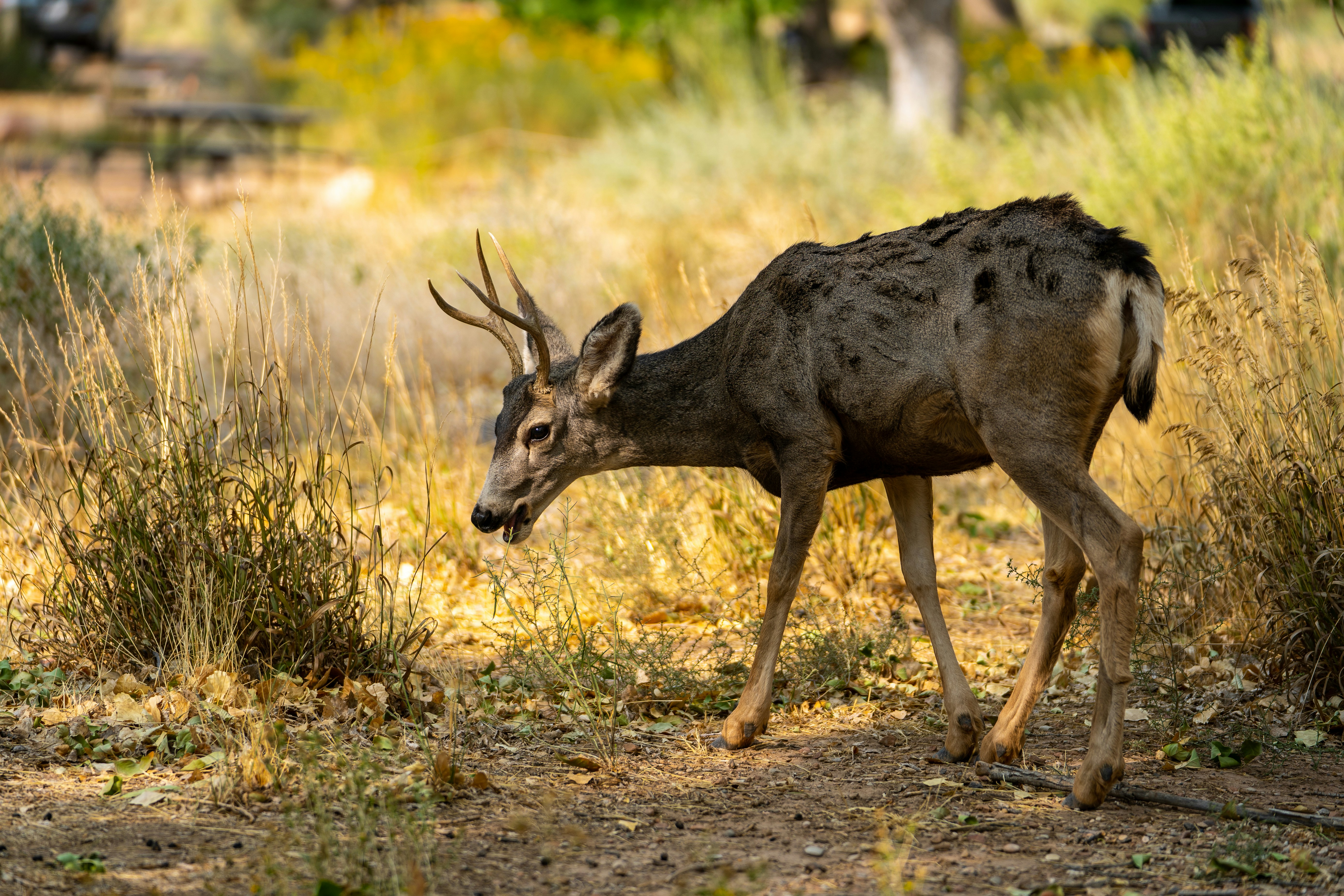 Photo by nick_monge_