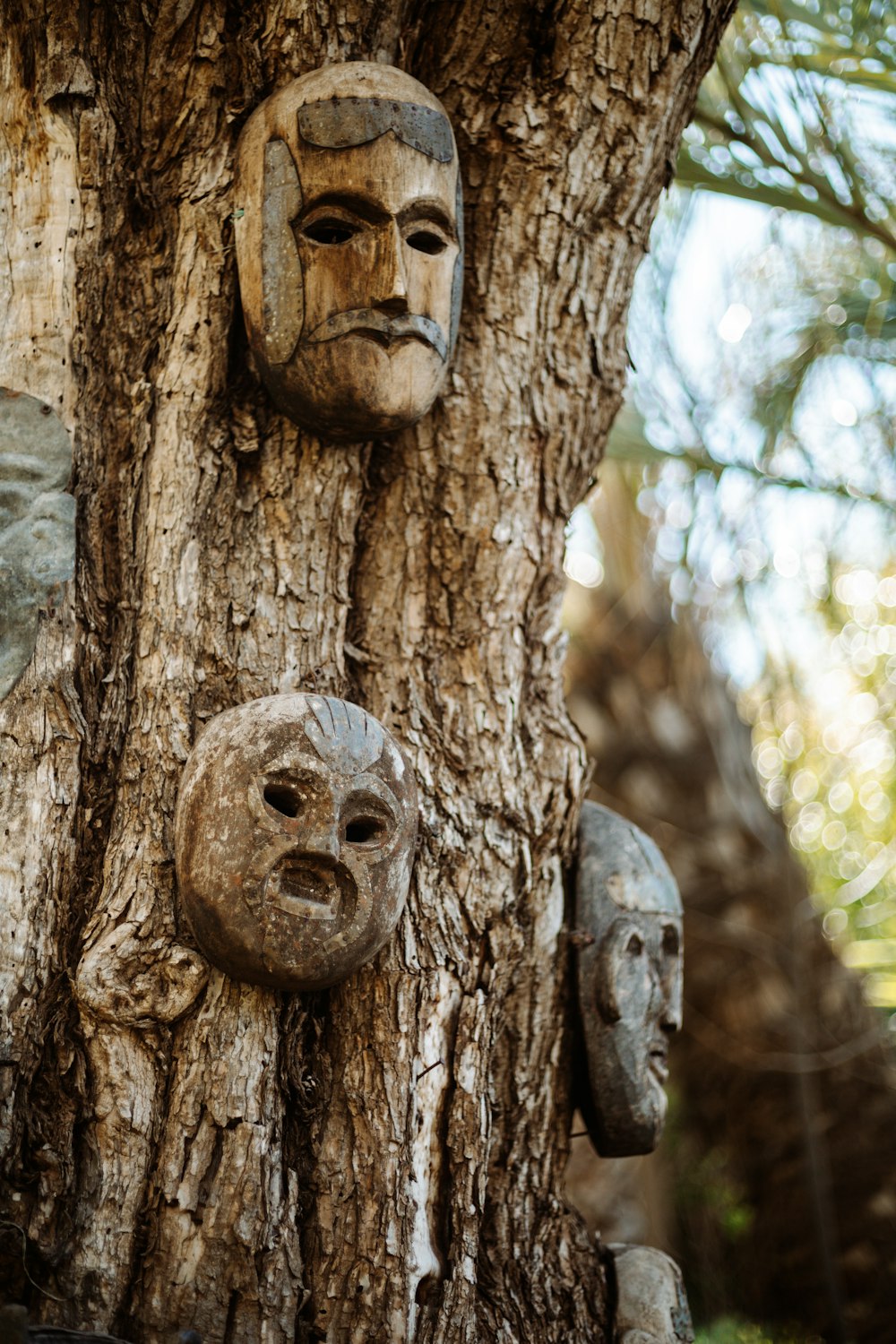 brown wooden human face carved on brown tree