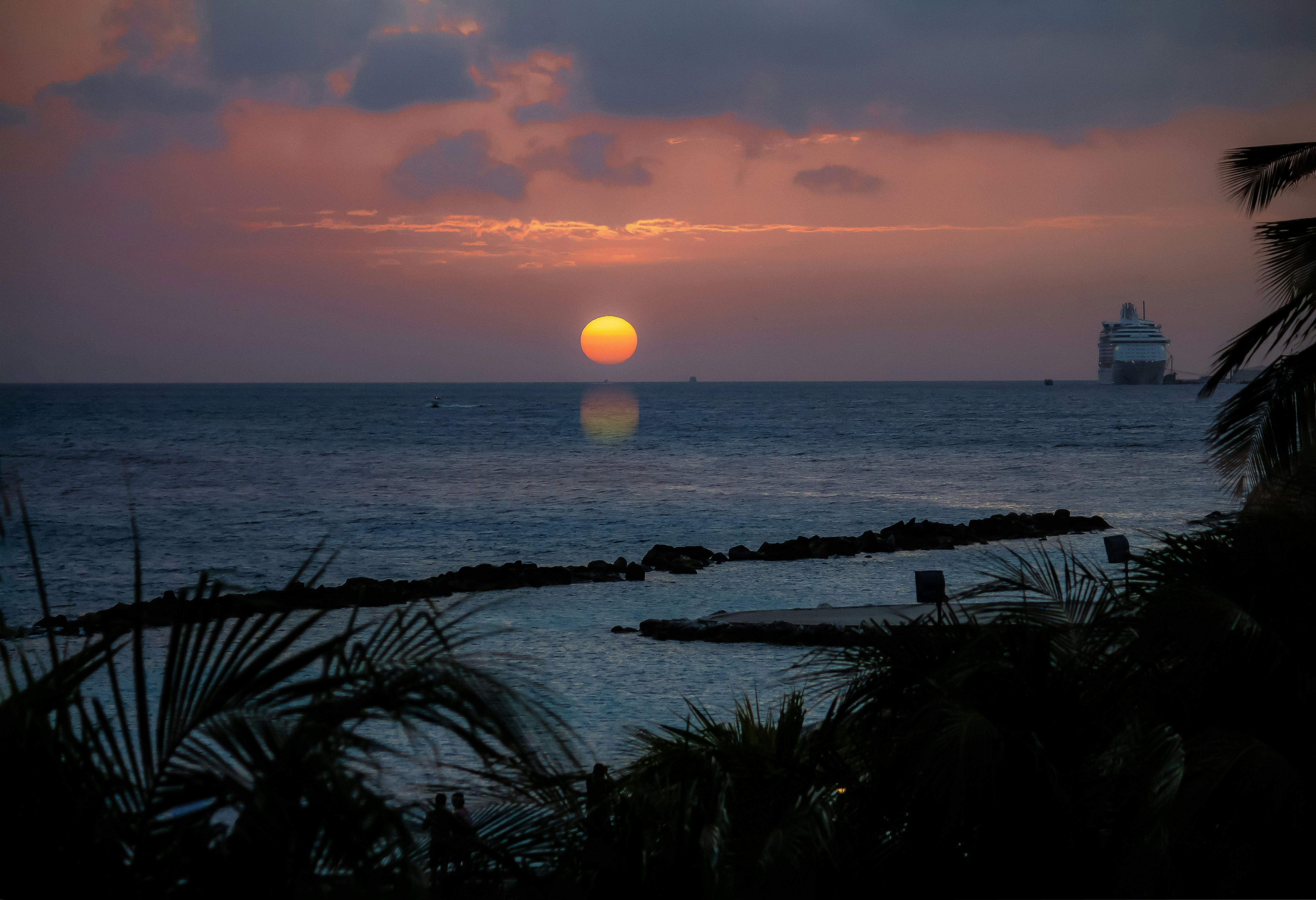 Silhouette von Bäumen in der Nähe des Meeres während des Sonnenuntergangs