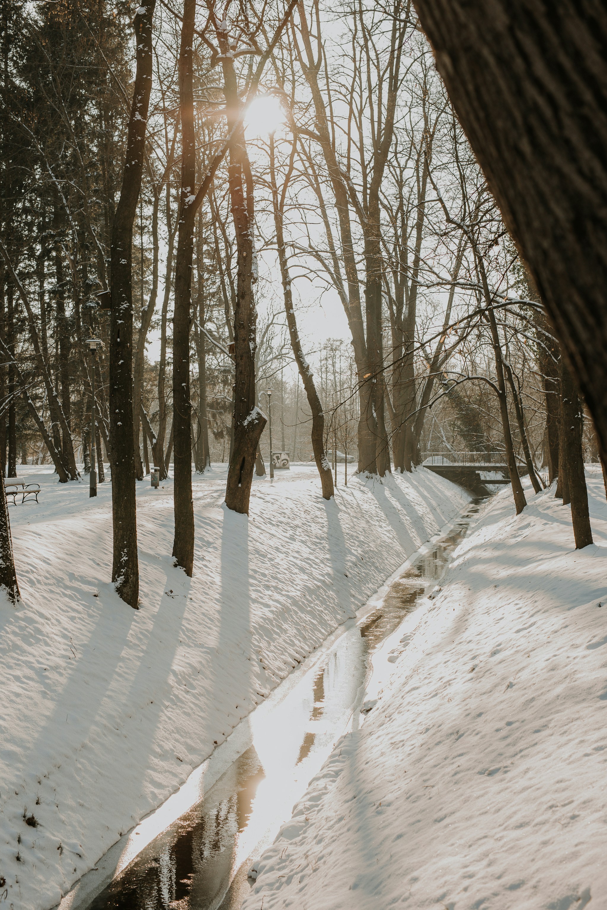 Photo by annabellalifestyle