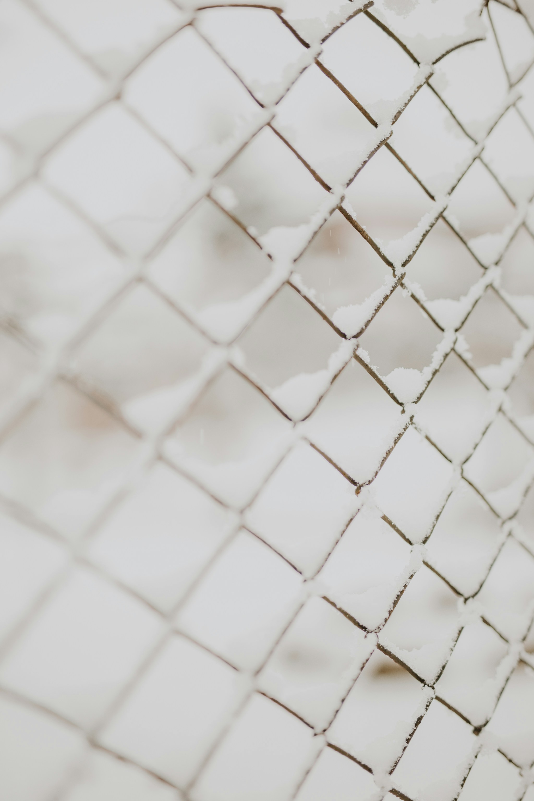 Photo by annabellalifestyle