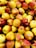 A large collection of fresh apples tightly packed together, displaying a mix of yellow and red hues. Each apple is adorned with a small label or sticker, indicating their market sale status.