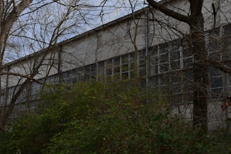 A large, industrial-style building is partially obscured by leafless trees and dense green foliage. The building has multiple large windows and is constructed from a light-colored material, possibly concrete or metal.