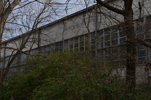 Finished wooden industrial building surrounded by greenery.