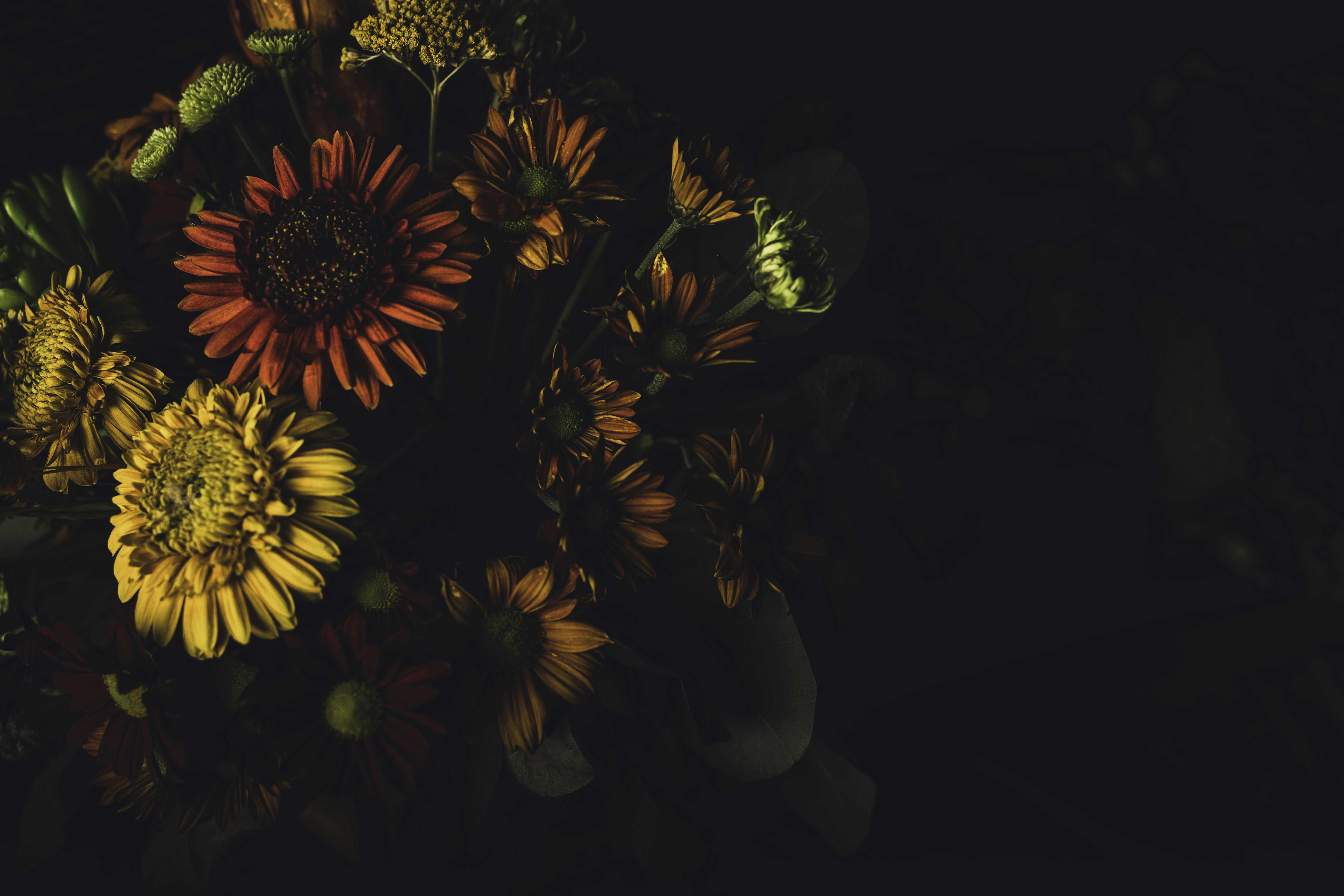 Photo by dumitrasconiudesign