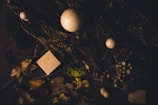 A dark, moody composition featuring various wooden spheres and cubes placed on a textured piece of bark. Scattered leaves and acorns enhance the natural, rustic theme. The lighting is low, creating shadows and highlighting the contours of the objects.