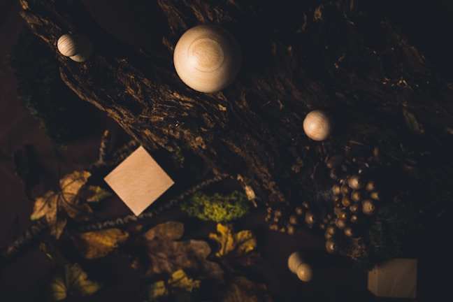 A dark, moody composition featuring various wooden spheres and cubes placed on a textured piece of bark. Scattered leaves and acorns enhance the natural, rustic theme. The lighting is low, creating shadows and highlighting the contours of the objects.