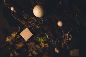 A dark, moody composition featuring various wooden spheres and cubes placed on a textured piece of bark. Scattered leaves and acorns enhance the natural, rustic theme. The lighting is low, creating shadows and highlighting the contours of the objects.