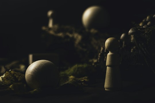 Wooden figures and spheres are scattered across a dark, moody setting with a rich texture of leaves and blurred background elements. The lighting creates dramatic shadows and an air of mystery.