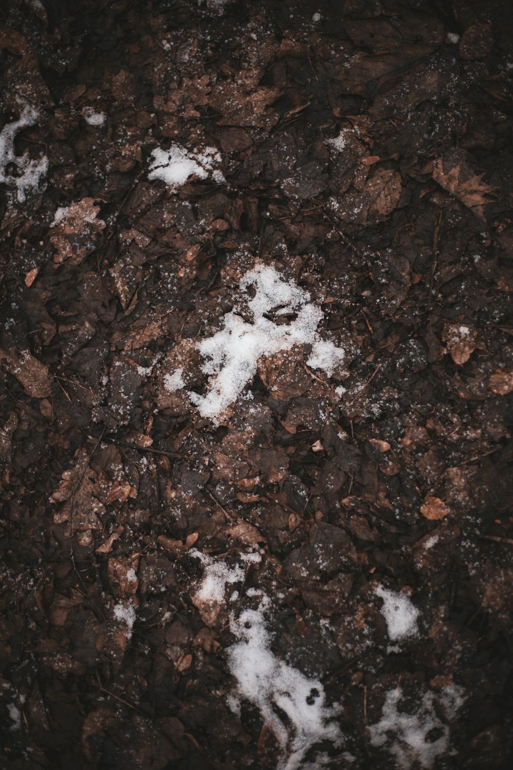 white powder on brown soil