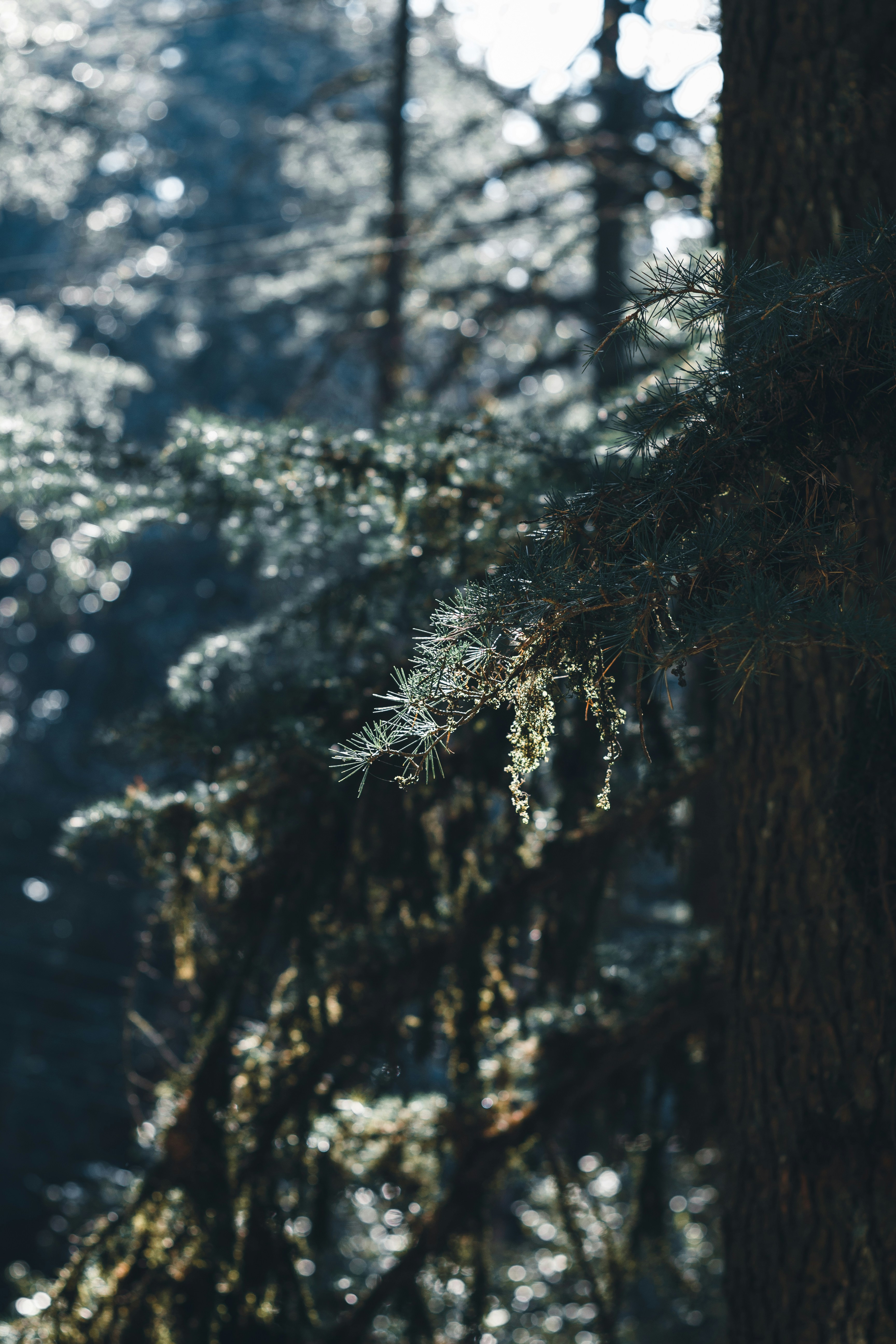 Photo by vikasgurjar