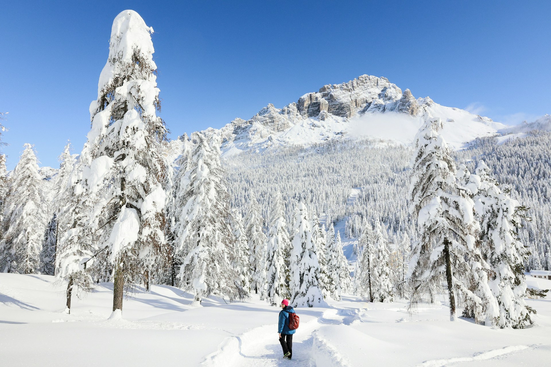 person in red jacket and black pants walking on snow covered ground during daytime