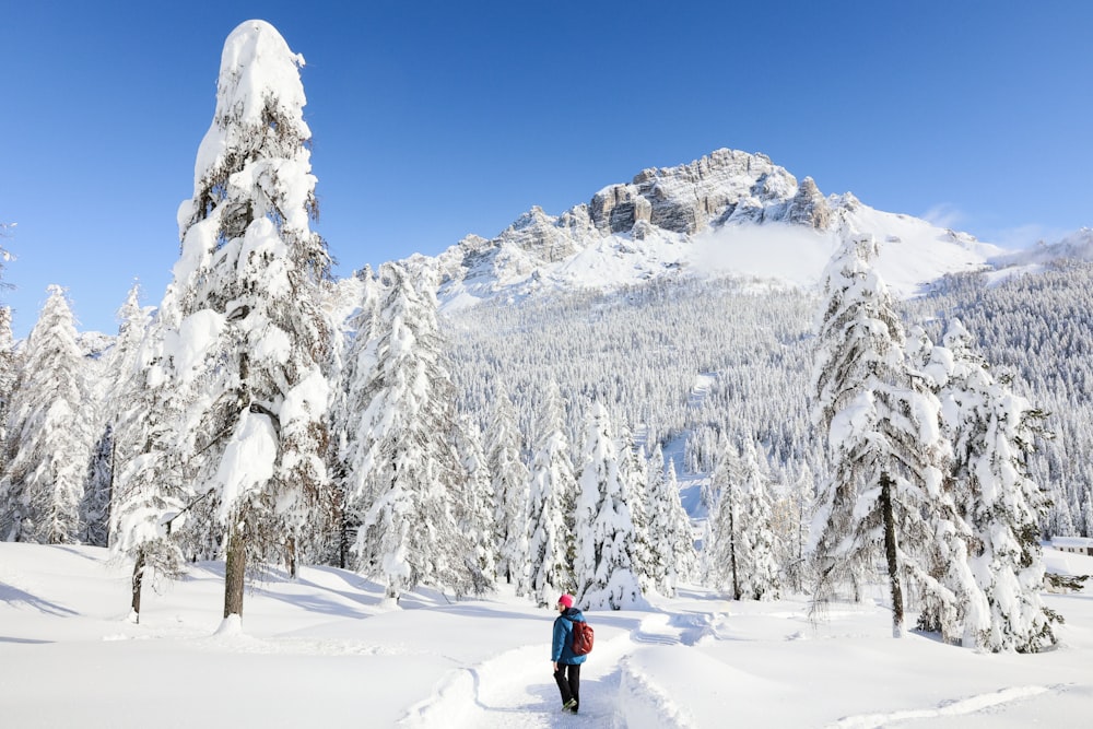 person in red jacket and black pants walking on snow covered ground during daytime