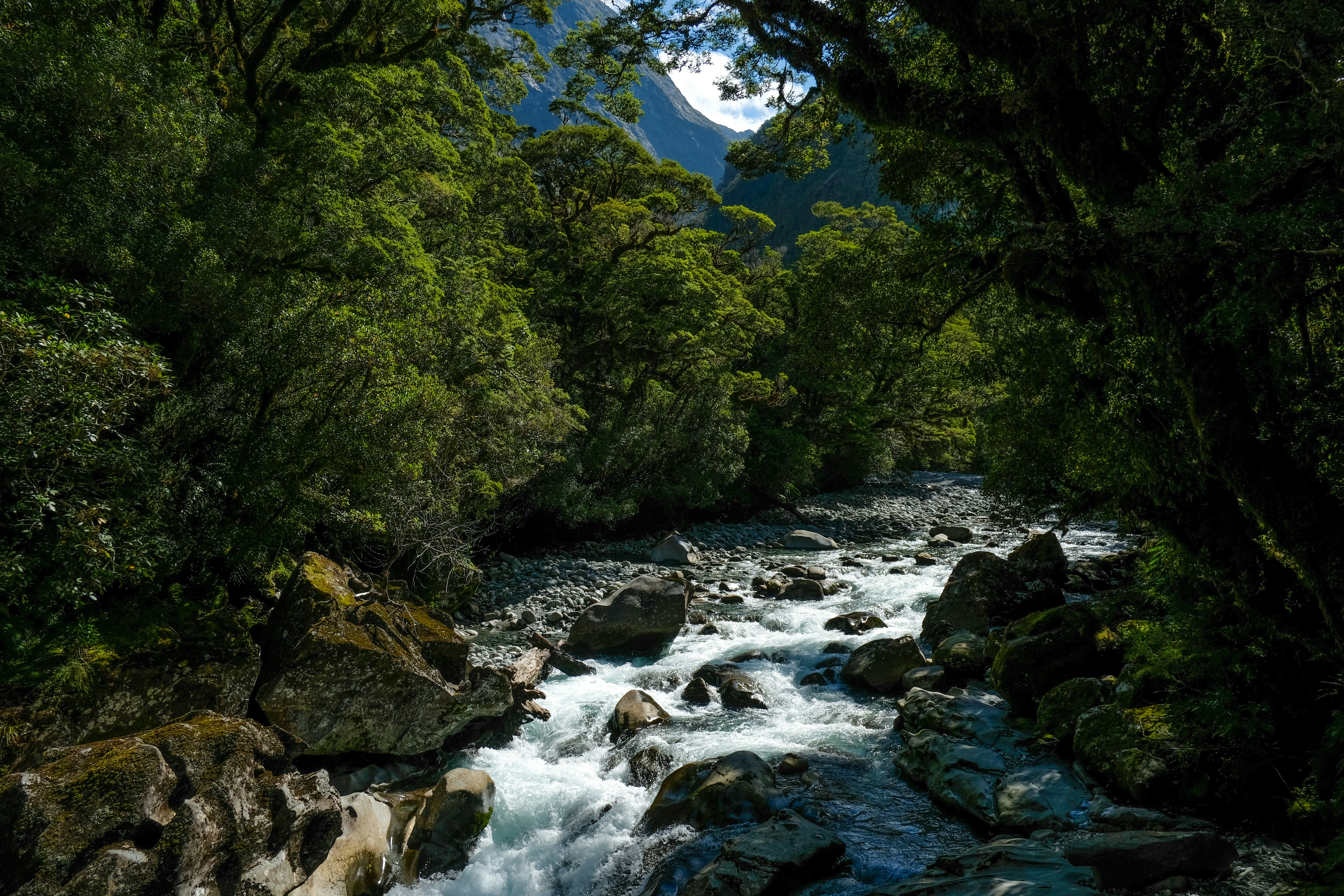 Photo by patricktravelist