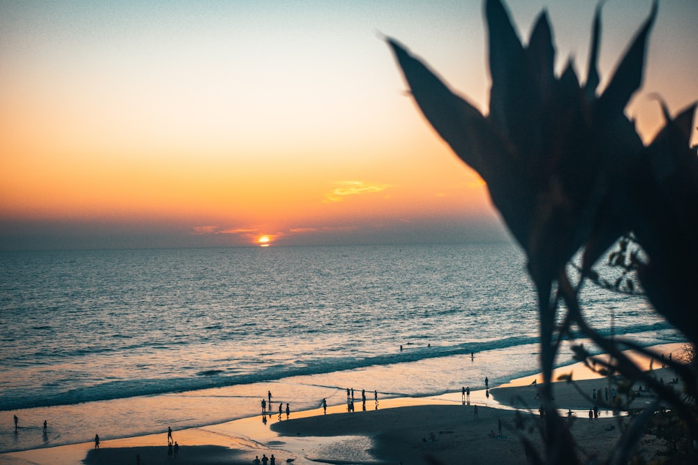 Silueta de la persona de pie en la playa durante la puesta del sol