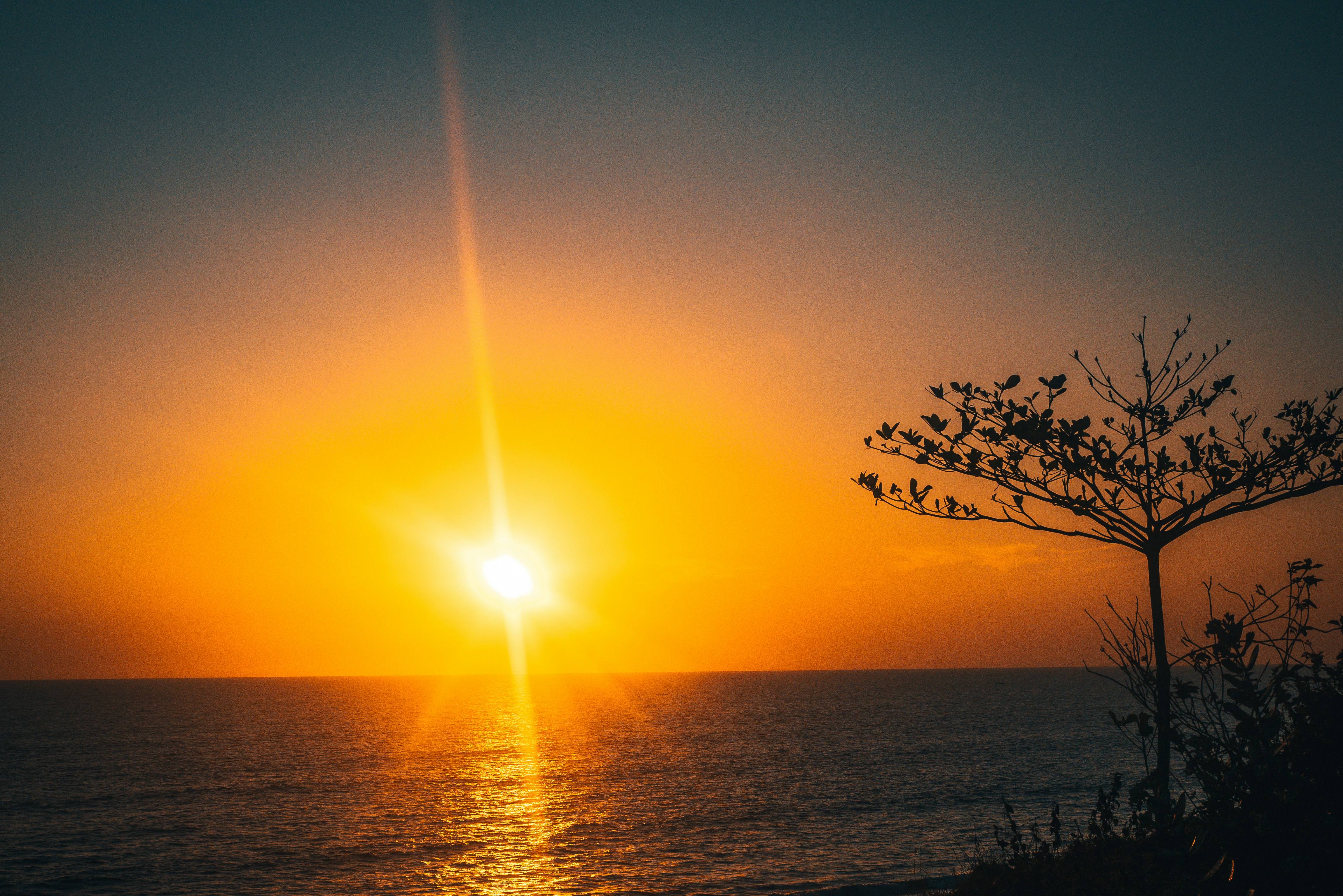 Photo by raimondklavins