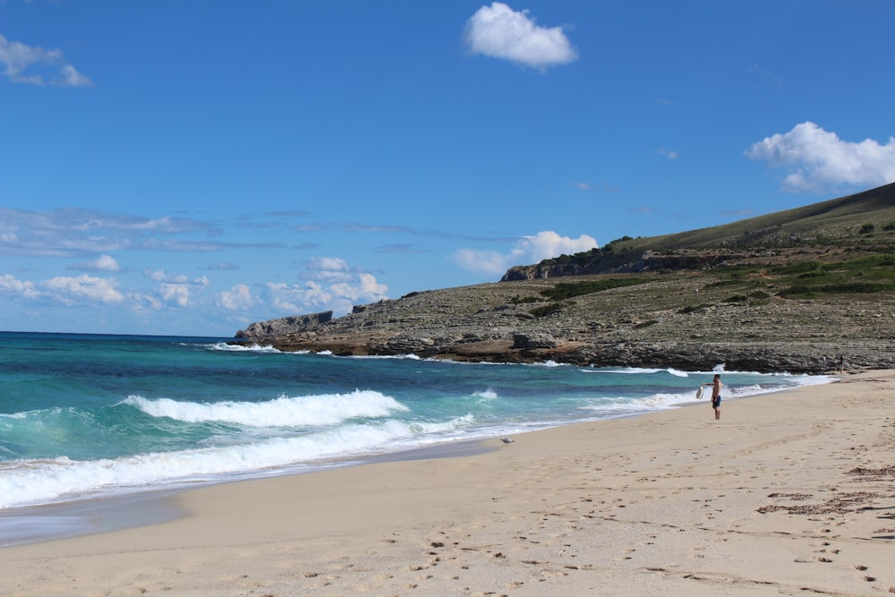 people on beach during daytime