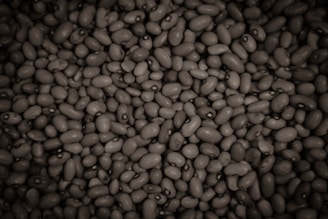 A close-up of mucuna pruriens beans showcasing their unique texture.